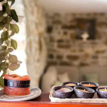 Authentic Dalmatian House Sara Apartment