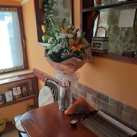 Authentic Dalmatian House Sara Apartment Split